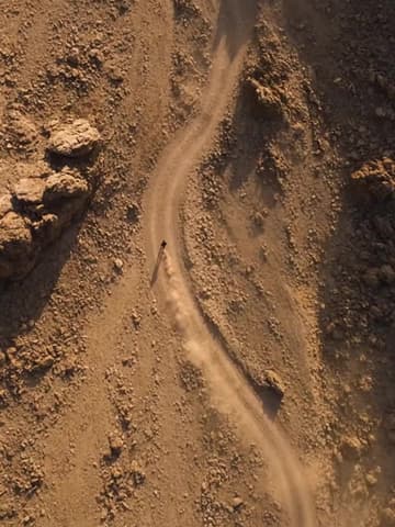 Trail Run