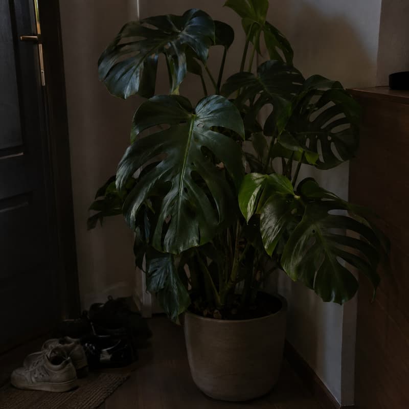Dim hallway → sunset balcony — Before