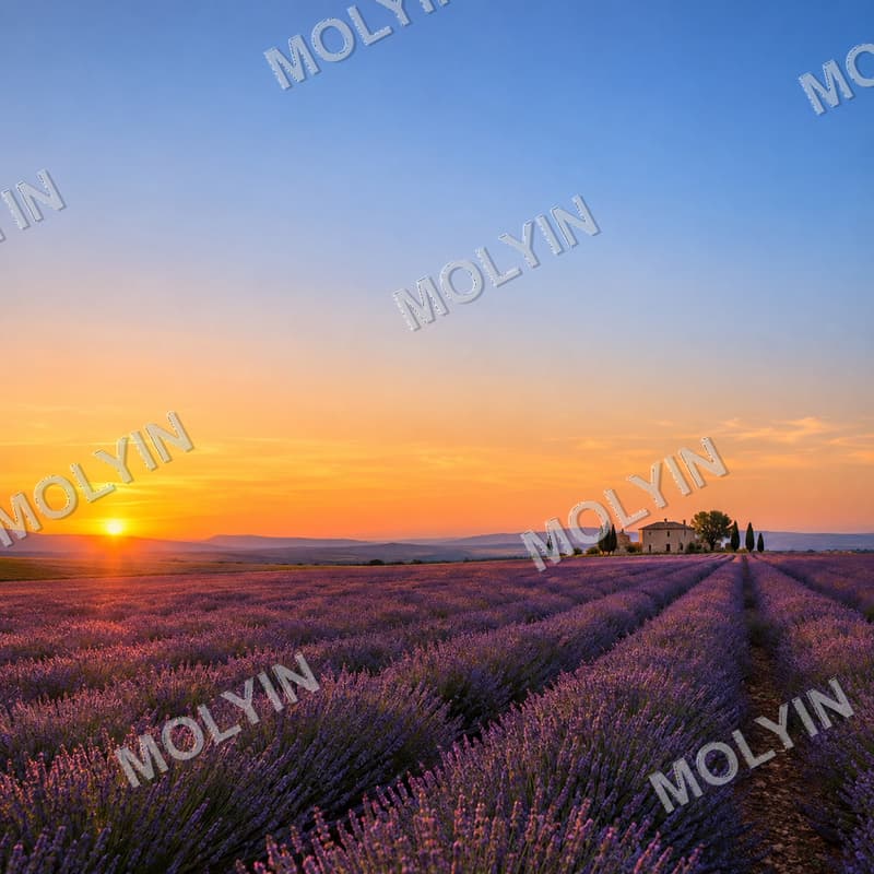 Tiled watermark over a wide sky — Before