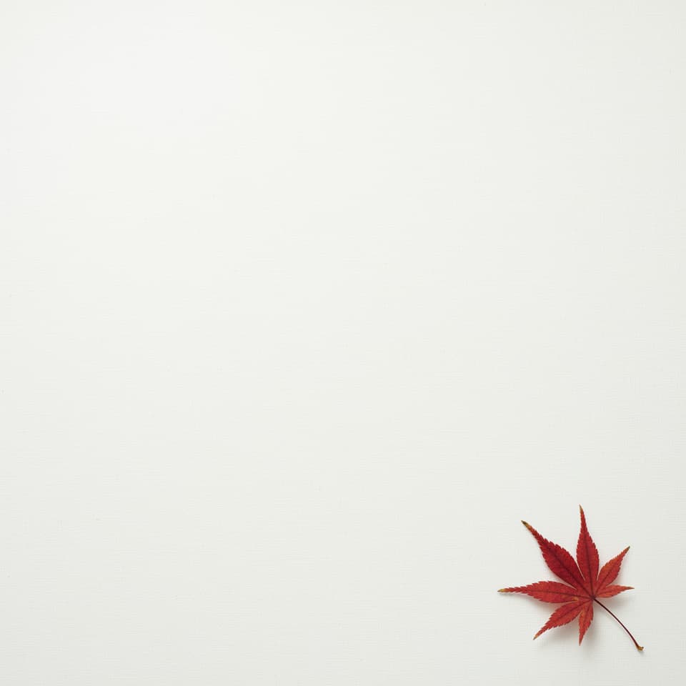 Nano Banana 2 official sample — minimalist composition of a single red maple leaf in the bottom-right with soft negative space for text