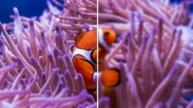Mejora y escala videos a HD o 4K nítidos — reducción de ruido, enfoque, rostros y anime.